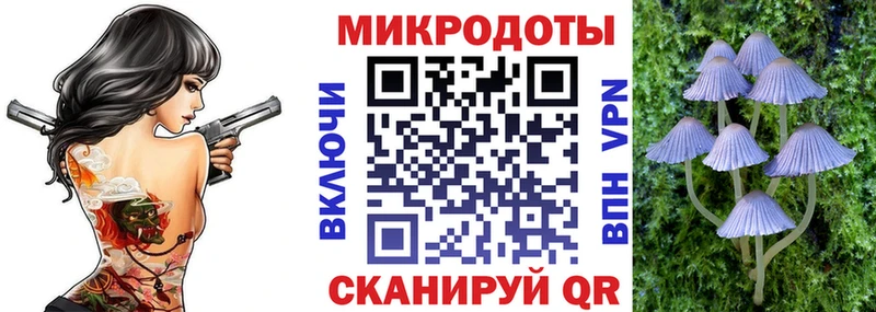 Галлюциногенные грибы мухоморы  дарнет шоп  Почеп 